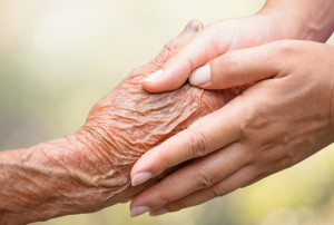 Elderly Hands